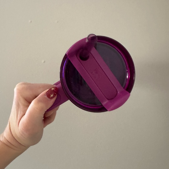 Stanley Tumbler dia De Los Muertos 20 oz Special Ed Sunrise Catarina in hand - Picture 3 of 4